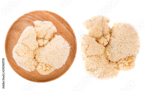Fotomural lion mane mushroom isolated on white background