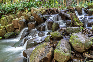 Water falling over a rocks, the small falls below Secret Falls, Lower Secret Falls, North Fork Wailua River, Kauai