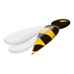 Poster - Wasp icon. Cartoon of wasp vector icon for web design isolated on white background