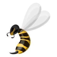 Poster - Wasp needle icon. Cartoon of wasp needle vector icon for web design isolated on white background
