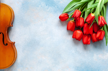 Old violin and bouquet of red tulips. Valentine day, 8 March concept. Top view, close-up on blue sky concrete background.