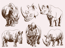 Graphical Vintage Set Of Rhinos ,retro Illustration