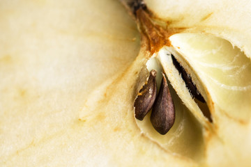 Apple core with seeds, close-up