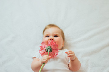 beautiful baby holding a flower on white background