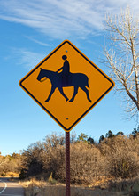Horse And Rider Crossing