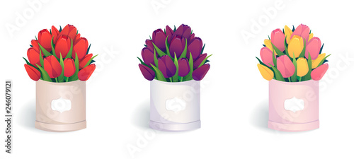 Bouquets Of Colorful Tulips Vector Illustration Red Purple Pink And Yellow Flowers In Round Hat Boxes Bouquete Of Flowers Isolated On Transparent Background Stock Vector Adobe Stock