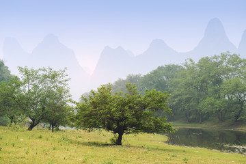 Wall Mural - landscape in Yangshuo Guilin, China