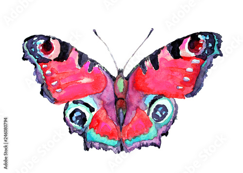 beautiful butterfly,watercolor, isolated on a white © aboard