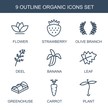 © HN Works - organic icons