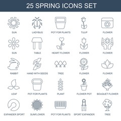 Poster - 25 spring icons