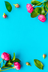 Wall Mural - Rose flowers background. Rose roses on blue background top view copy space frame