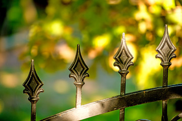 fence with green background