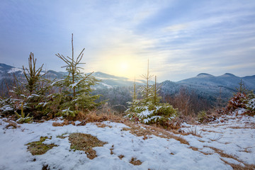 Wall Mural - Mountains Range and trees at sundown time, winter landscape