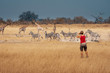 Eine Frau in rot fotografiert eine Herde Zebras und Giraffen im Grasland des Moremi Nationalparks, Okavango Delta, Botswana