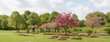 Frühlingslandschaft im Westpark München mit blühenden Zierapfel Bäumen