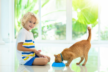 Child feeding home cat. Kids and pets.