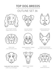 Wall Mural - Top dog breeds. Hunting dogs set. Pet outline collection