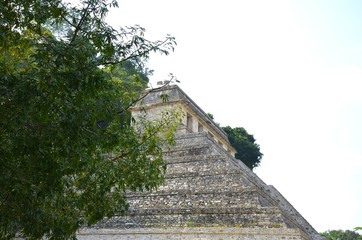 Wall Mural - Palenque, a Maya Ancient City In Southern Mexico