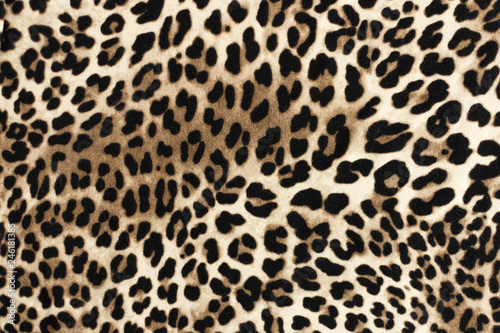 Leopard fablic texture. Fashion textile background. Fototapeta