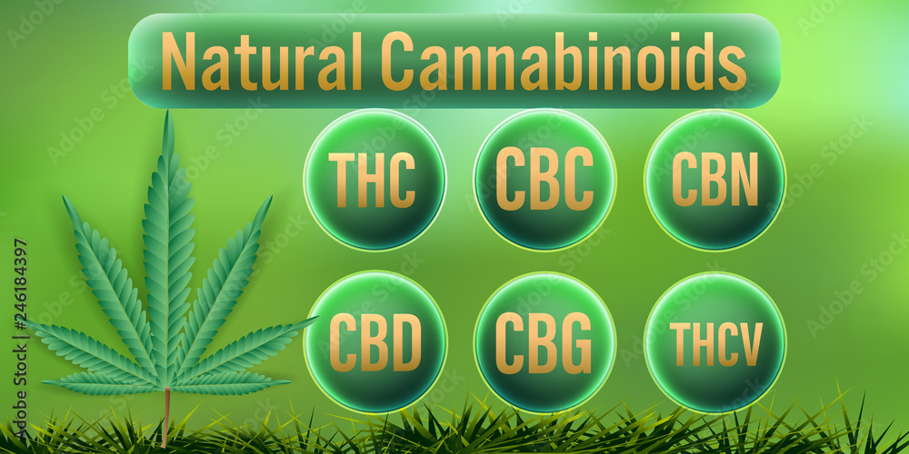 CDT HI CANNABINOID HERB ♯CBD CBG CBN CRD（5g REAL ハーブ