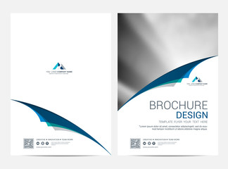 Wall Mural - Brochure template flyer design vector background