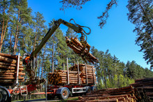 Crane Loading Logs In The Truck.
