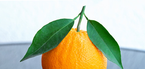 Sticker - fresh ripe oranges with leaves