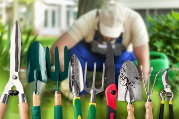 Poster - Row of gardening tools on soil background