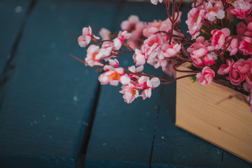 Sakura artificial flowers in a wooden box on a blue background