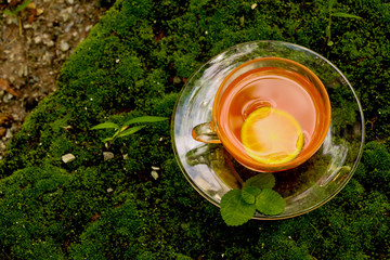 Wall Mural - Tea Hot Close up on morning