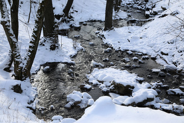 Wall Mural - River in winter