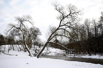 Wall Mural - River in the park