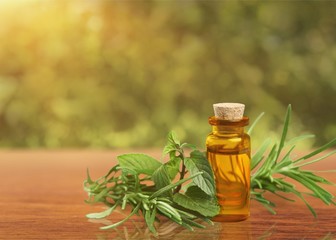 Sticker - Oil bottle and green herbs on blue background