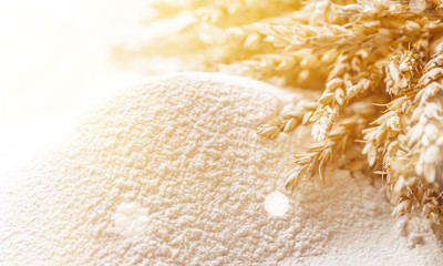 Canvas Print - Wheat ears and flour on  background