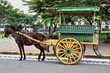 Horse drawn kalesa-calash on Sto.Tomas Street facing the Cathedral. Intramuros-Manila-Philippines-0968