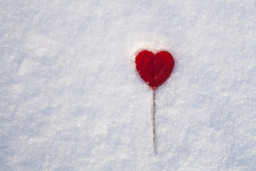 Wall Mural - Sweet One Valentines heart made of sugar with reflection effect on snow