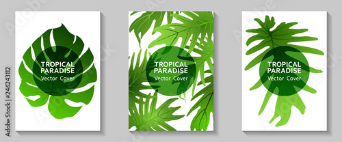 Tropical paradise leaf vector cover layout.