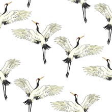 Crane Birds Vector Illustration