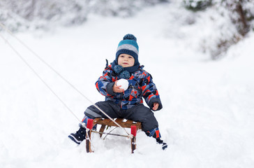 Adorable young boy on a sledge