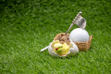 Golf Easter with chick in egg shell with golf ball on green