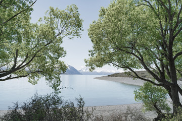 Canvas Print - Lake Tekapo scenery