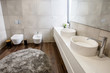 luxury bathroom interior with mirror, grey carpet and bidet