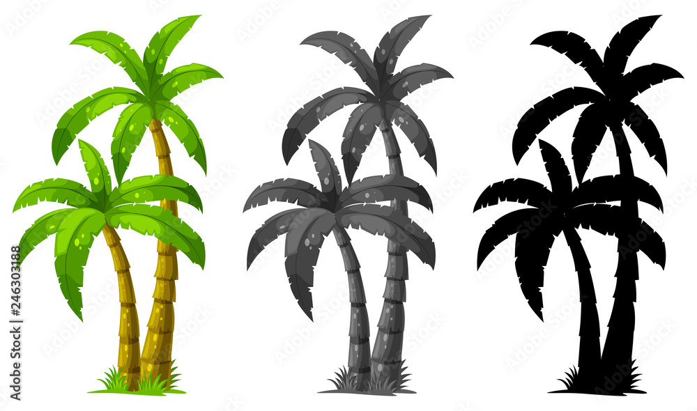 Set of palm tree - obrazy, fototapety, plakaty 