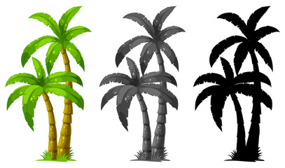 Canvas Print - Set of palm tree