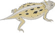 © FrederickS - Horned Toad Vector Illustration