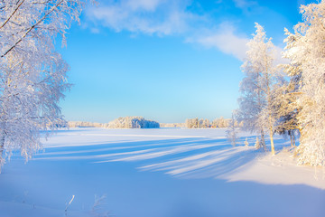  Cold winter day landscape from Sotkamo, Finland.