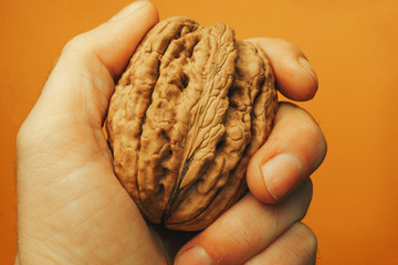 Poster - Hand holding big walnut on a yellow background. Close-up.