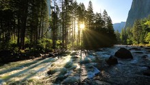 Beautiful Morning Shot Of The Merced River In Yosemite.