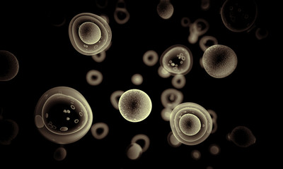 Wall Mural - embryonic stem cells , cellular therapy , regeneration , disease treatment