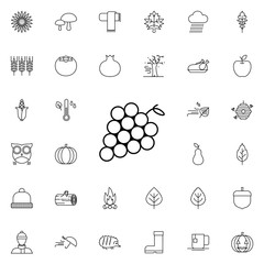 Aufkleber - grapes icon. autumn icons universal set for web and mobile